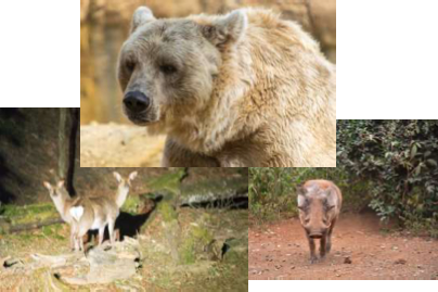 サービスイメージ1